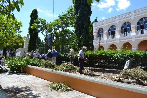 empleados  municipales     cortan  los arbustos  y plantas  en el  arriate  del parque central.