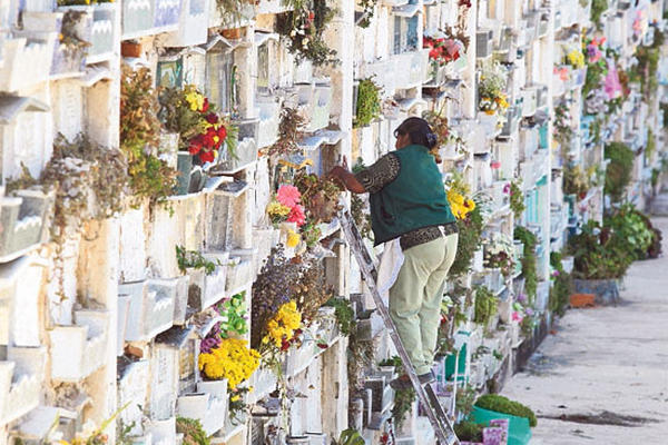 El cementerio La Verbena, zona 7, estará resguardado por la PNC.