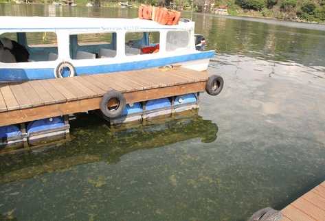 Hasta los 25 metros de profundidad del Lago de Atitlán se ha localizado la microsystis.