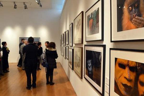 Imágenes de la colección de National Geographic. (Fotofrafía: AFP)