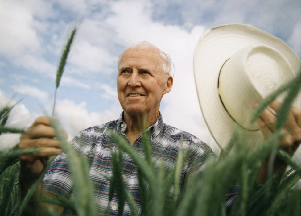 Norman Borlaug: El Hombre Que Salvó A Millones De Personas De La ...