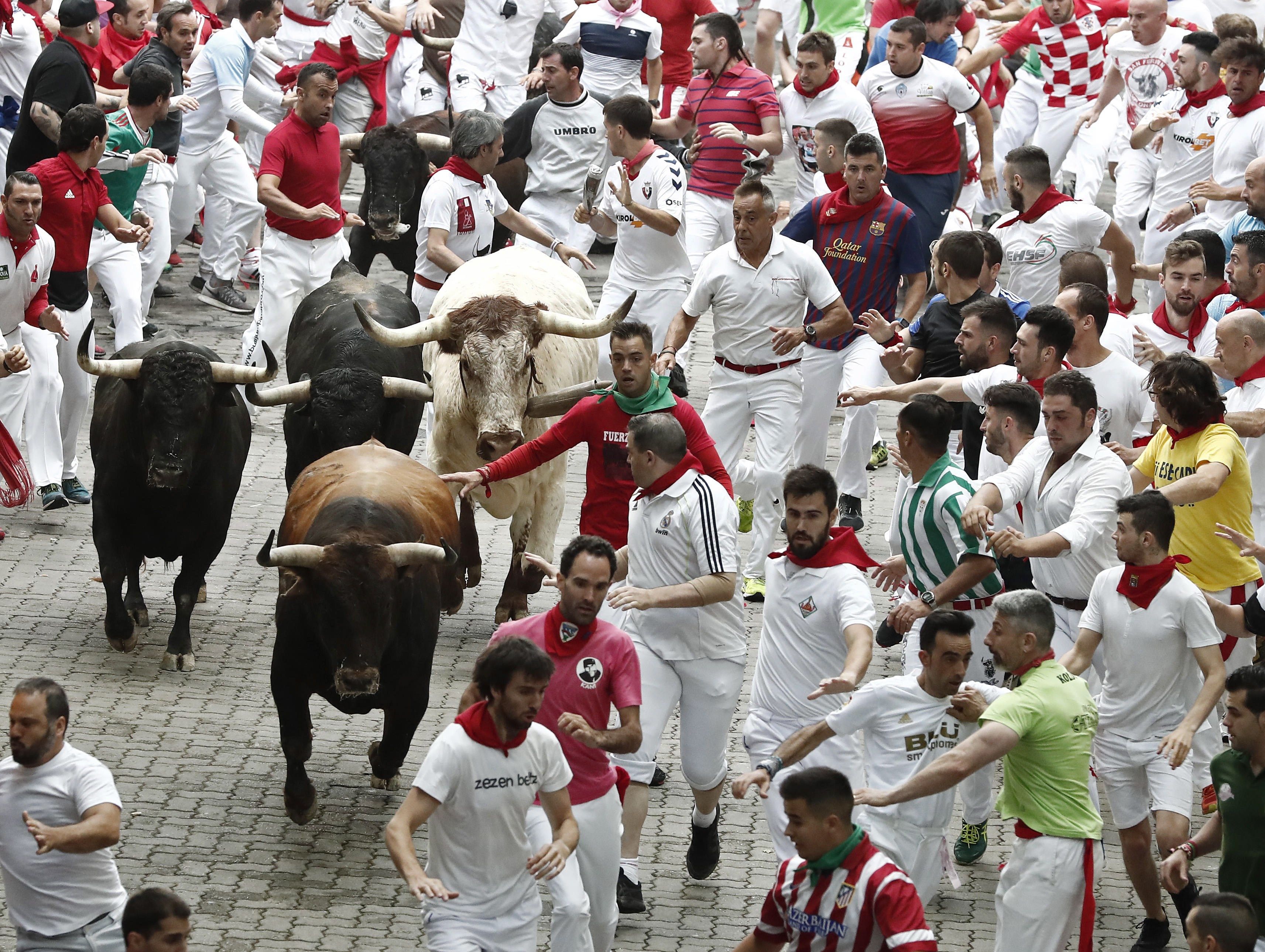 Fotogalería: Segundo Día Del Festival San Fermín En Pamplona.