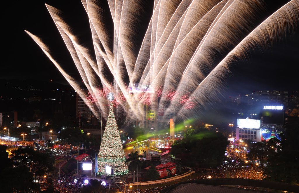 Llega el Festival del Árbol Gallo y esto hay que saber para disfrutar