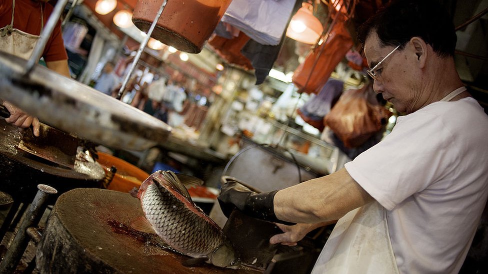 El virus fue encontrado en una tabla para cortar pescado. (Foto Prensa Libre: Getty Images)