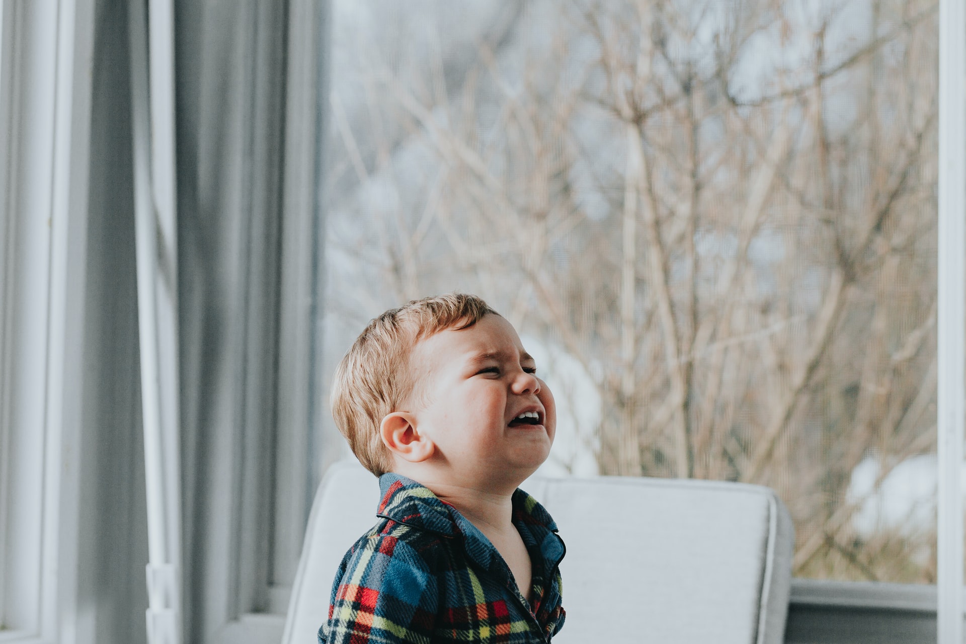 Como Controlar Los Berrinches De Un Niño De 2 Años