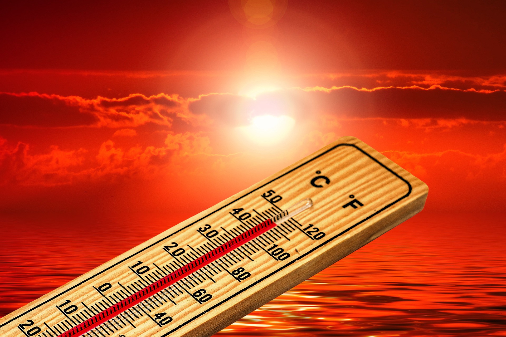 Las Temperaturas Extremas De Frío Y Calor Estuvieron Relacionadas Con 1 ...