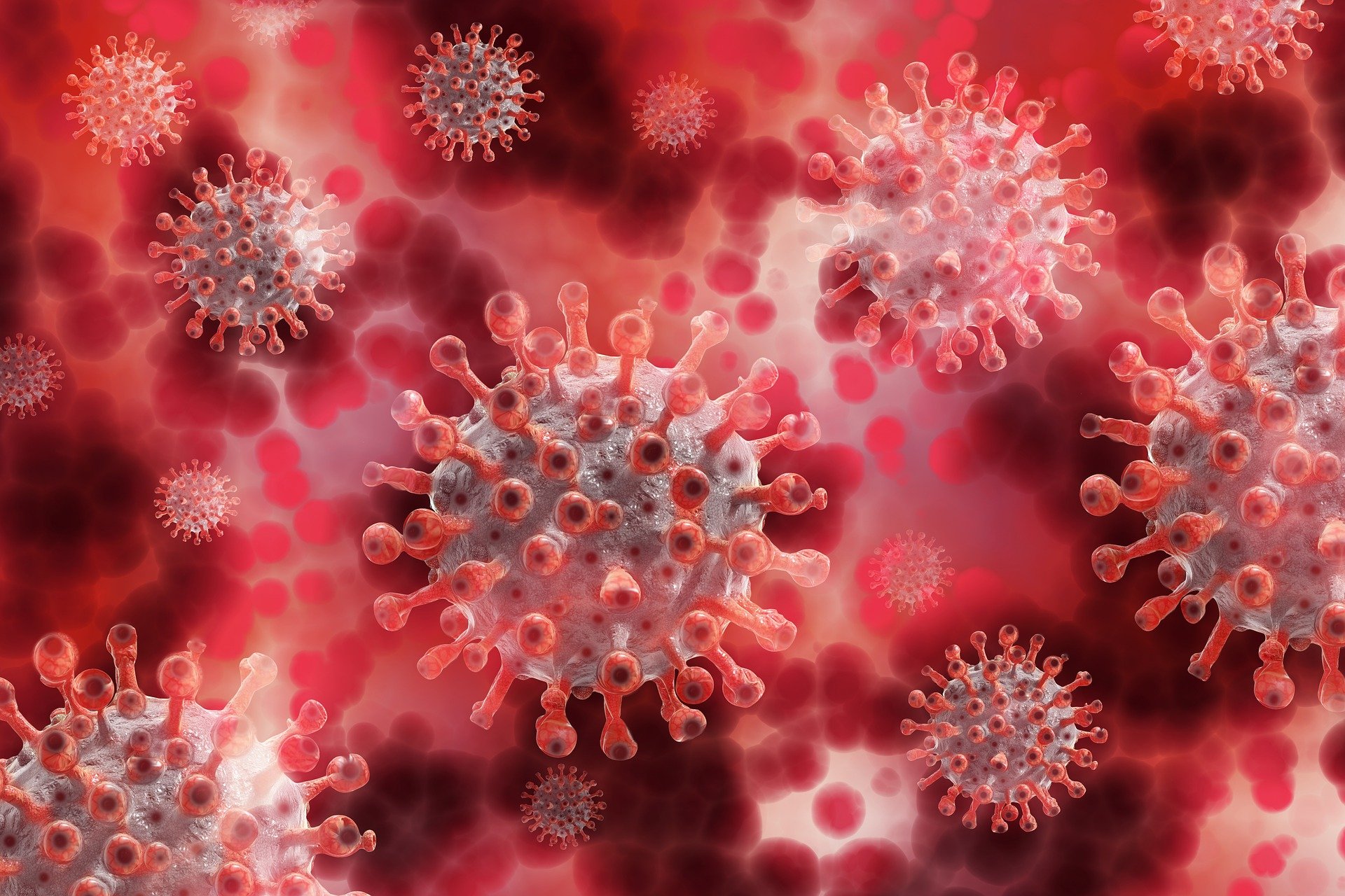 Hombre 39 años demandó a China por haberse contagiado de coronavirus. (Foto Prensa Libre: Pixabay)