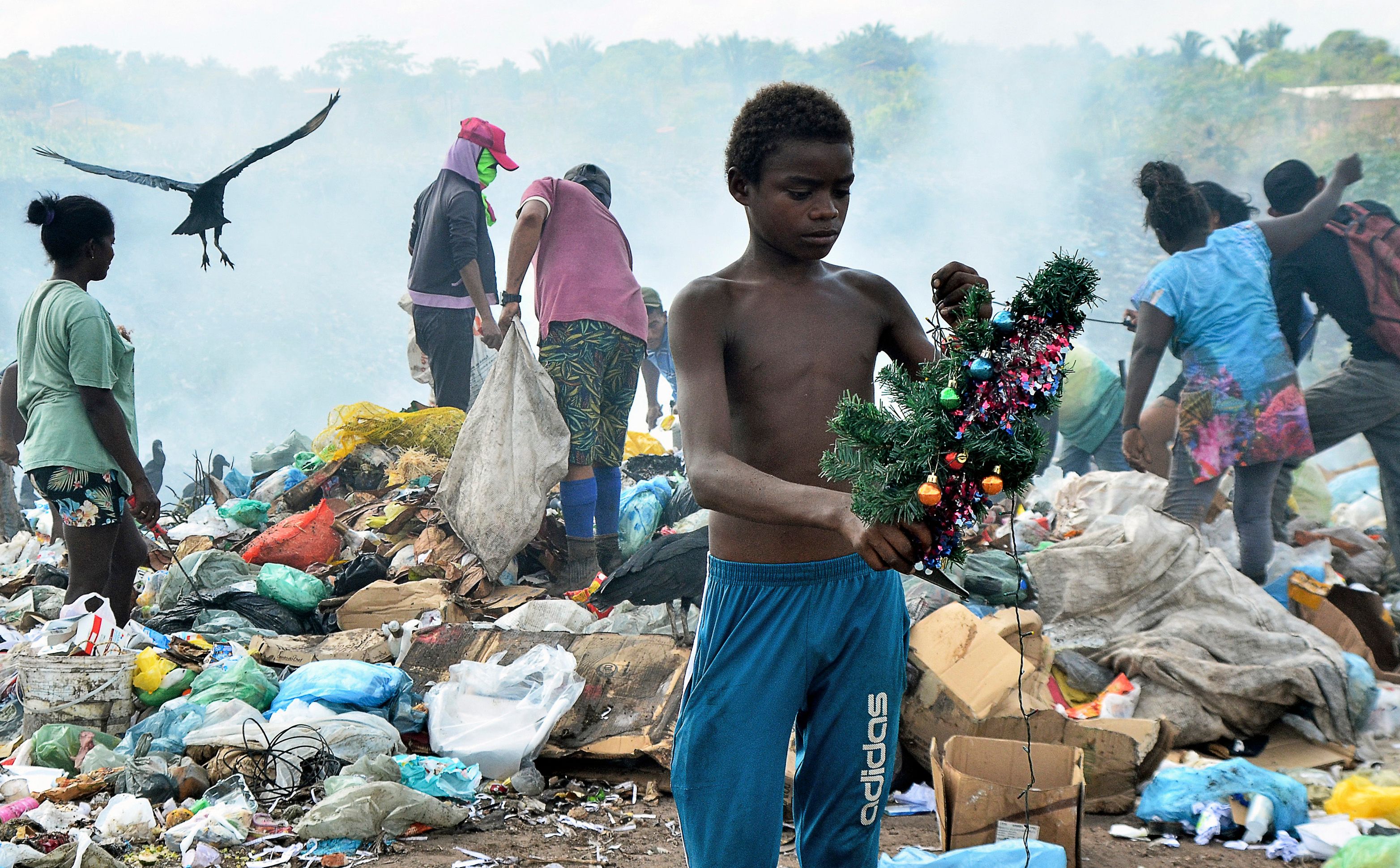 El niño y el árbol de Navidad: la historia detrás de una foto viral que  retrata la pobreza en Brasil