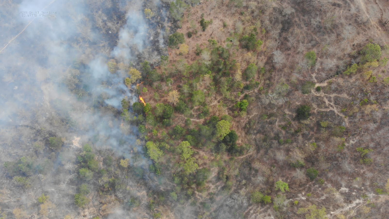 Incendios Forestales Arrasan Con Miles De Hectáreas De Bosque Y 10 ...