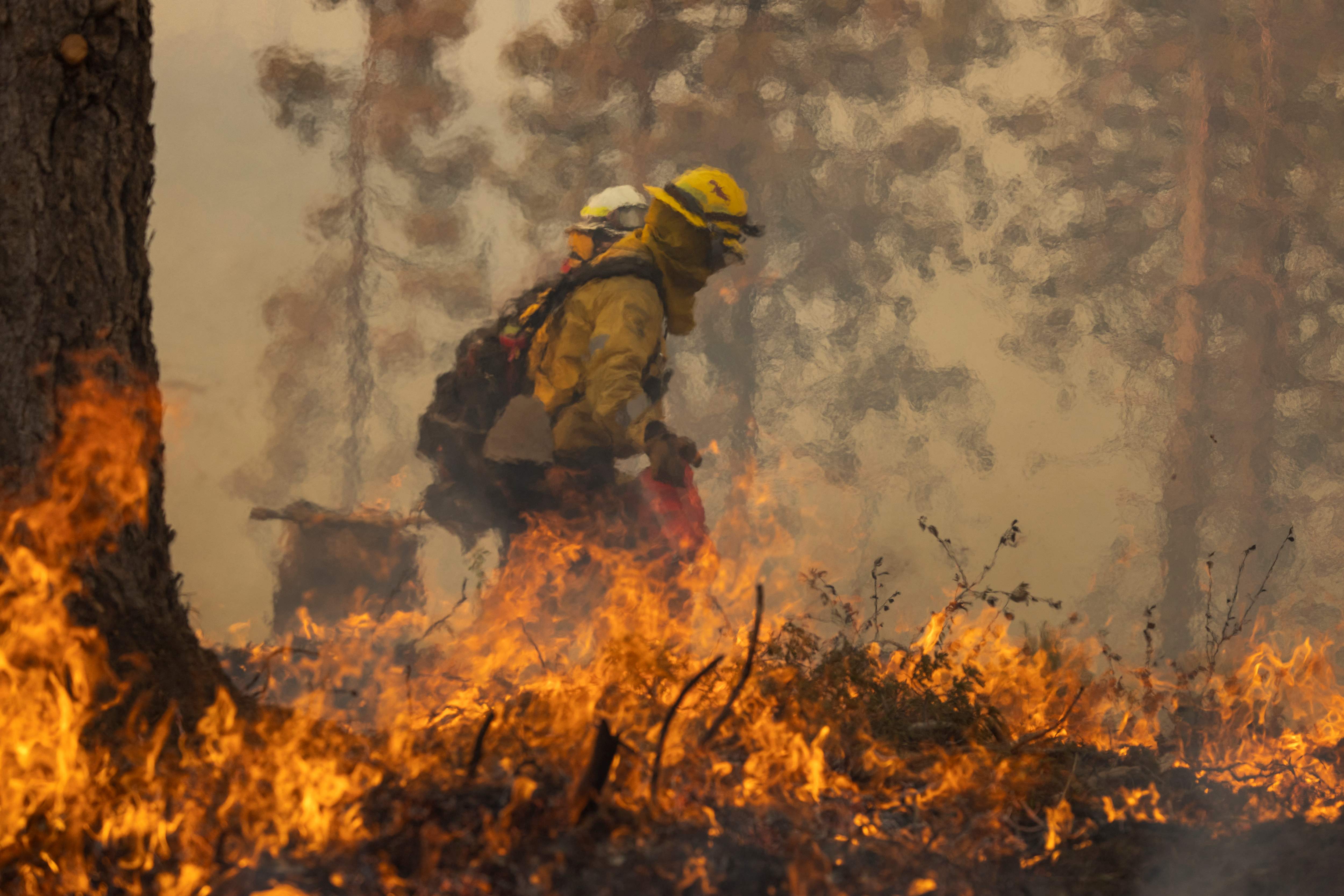 como van los incendios en california