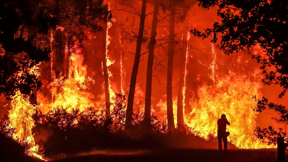 Incendios forestales