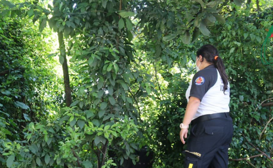 Inacif Identifica Cadáver Localizado En Maleta Y Restos Humanos ...