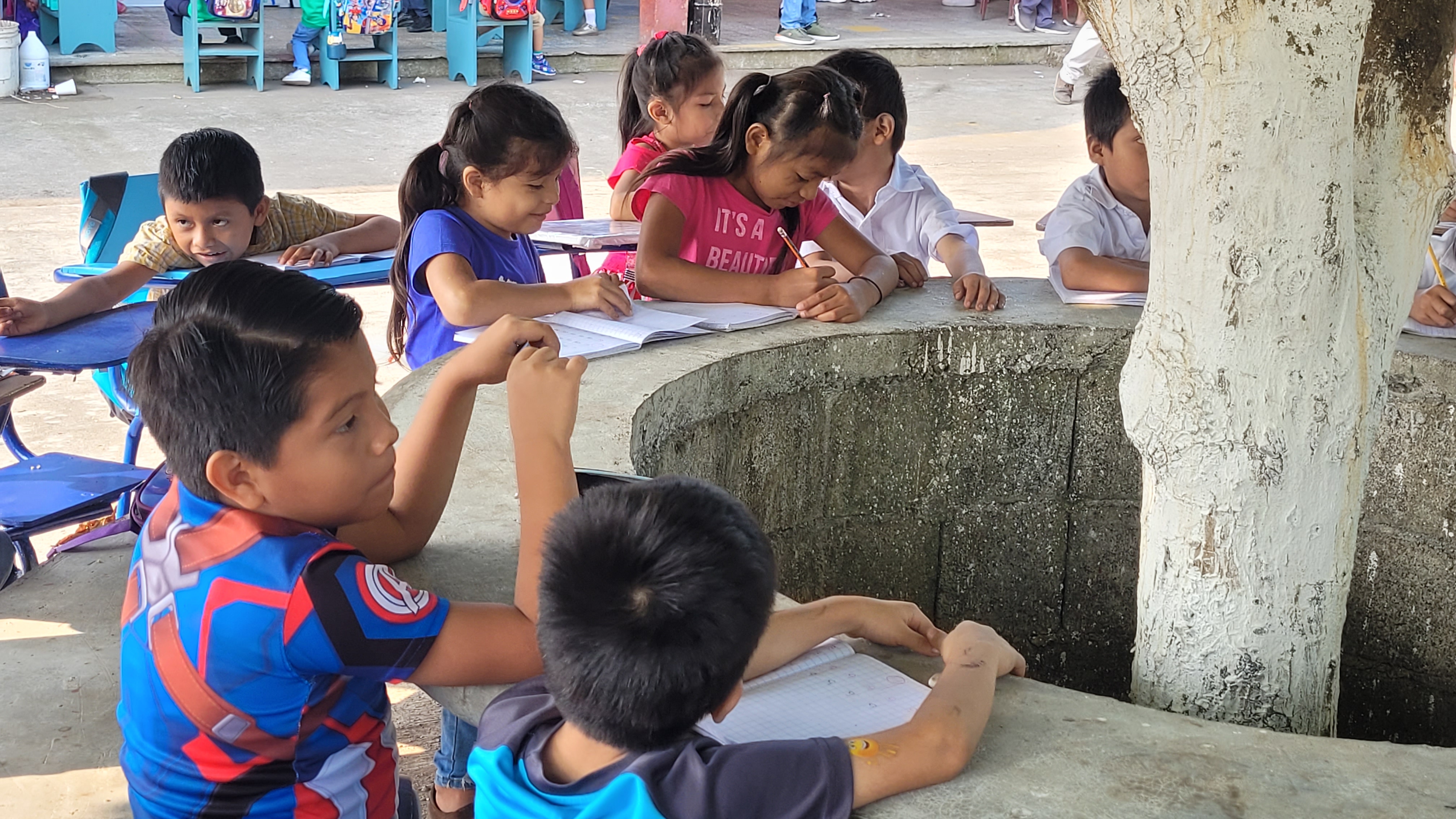 Students receive classes under a tree