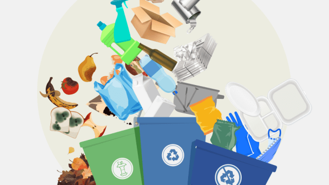 Greenapps&web  ¿Dónde puedo depositar mi basura orgánica e inorgánica?