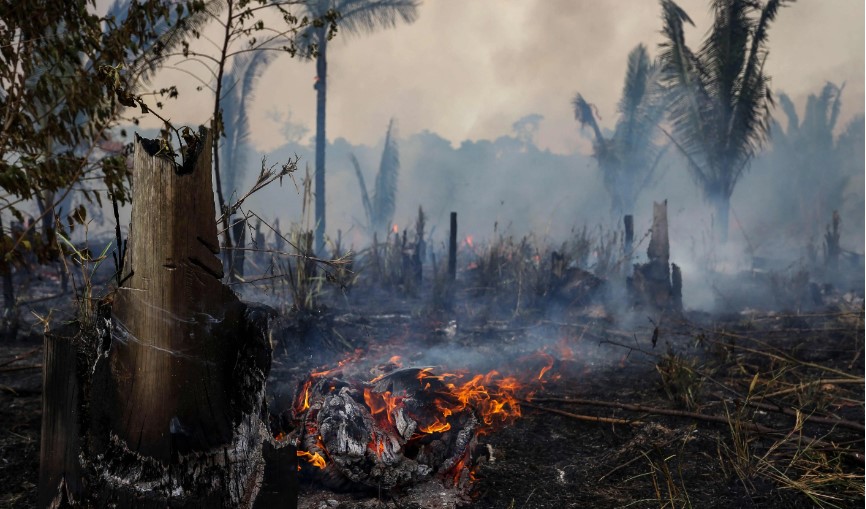 Voraces incendios propagados por una histórica sequía azotan la Amazonía. (Foto Prensa Libre: EFE)