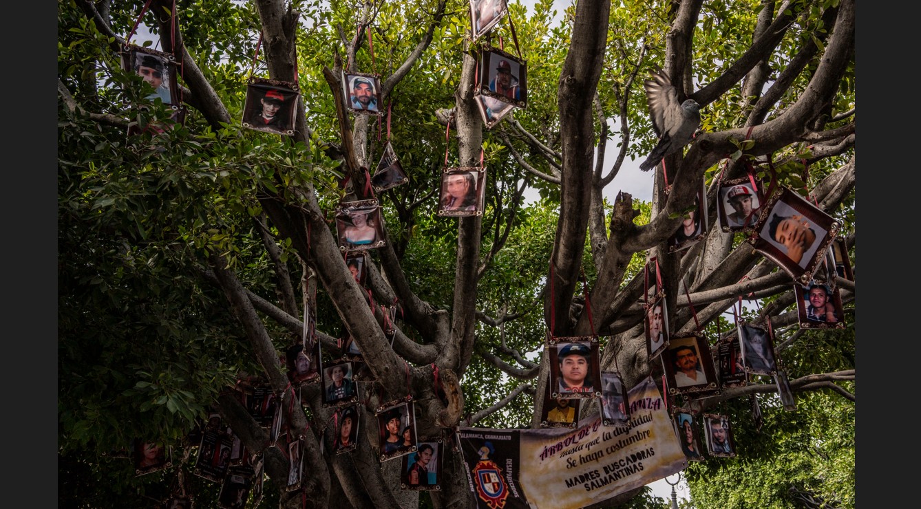 El Árbol de la Esperanza en Salamanca, México, donde familiares de personas desaparecidas exhiben fotos de sus seres queridos. (César Rodríguez/The New York Times)