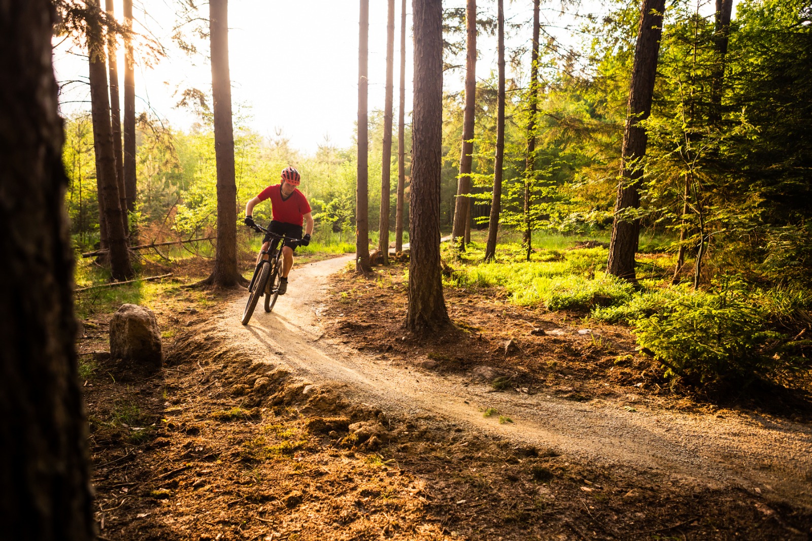 Cuáles son los beneficios del ciclismo en el cuerpo, las emociones y la contemplación