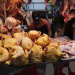 A pesar de la alerta sanitaria emitida por el Ministerio de Salud por la gripe aviar, guatemaltecos continan buscando este producto para su consumo.

Indican que lo hacen por el precio menor comparado con otras carnes y porque confan en el manejo de la carne por parte de las avcolas.

En imagen, guatemaltecos compran pollo en el mercado central.