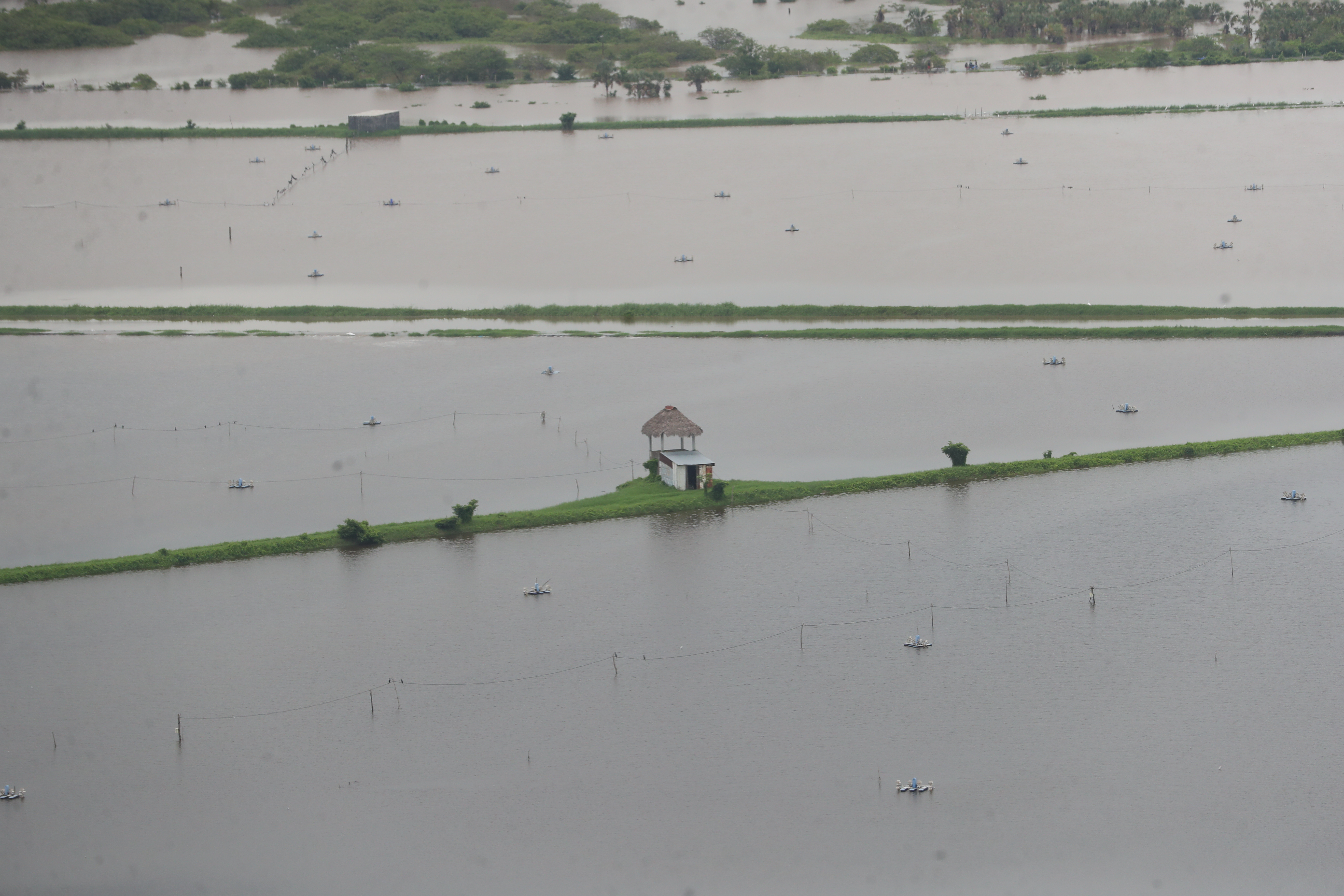 Terrenos inundados en Chiquimulilla Santa Rosa esto se debe a las lluvias vecinos perdieron toda sus cosechas   

Prensa Libre. Erick Avila   18/06/2024