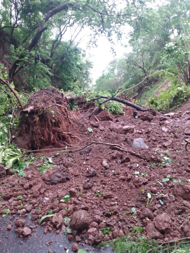 derrumbe y caída de árbol en Jutiapa