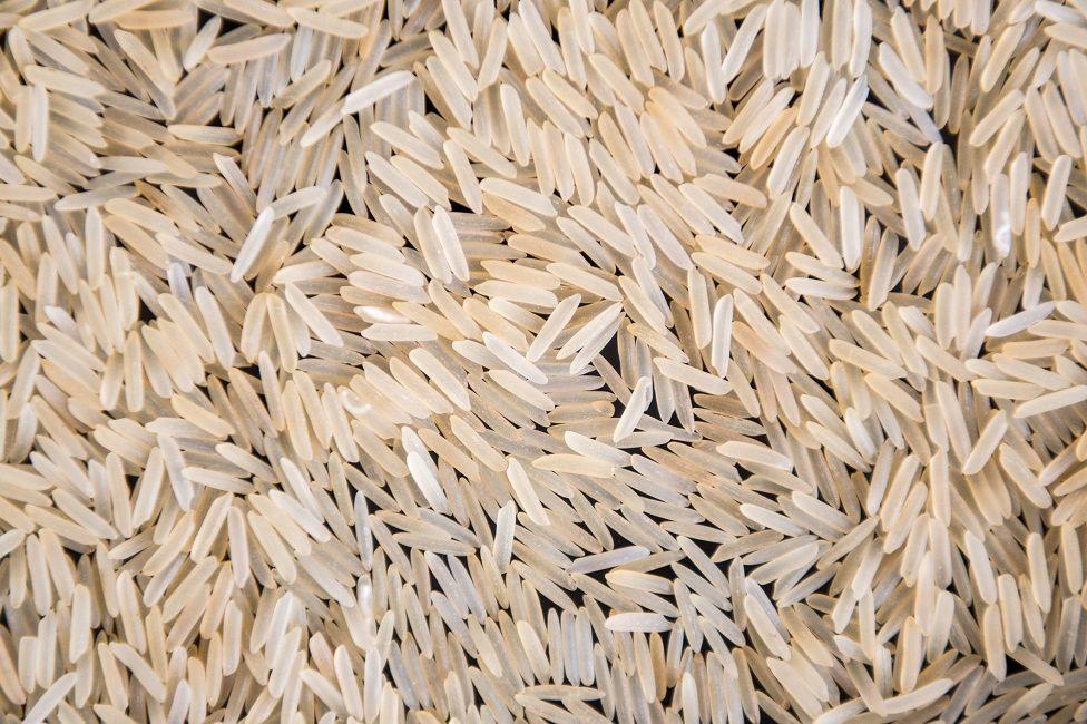 Granos de arroz blanco