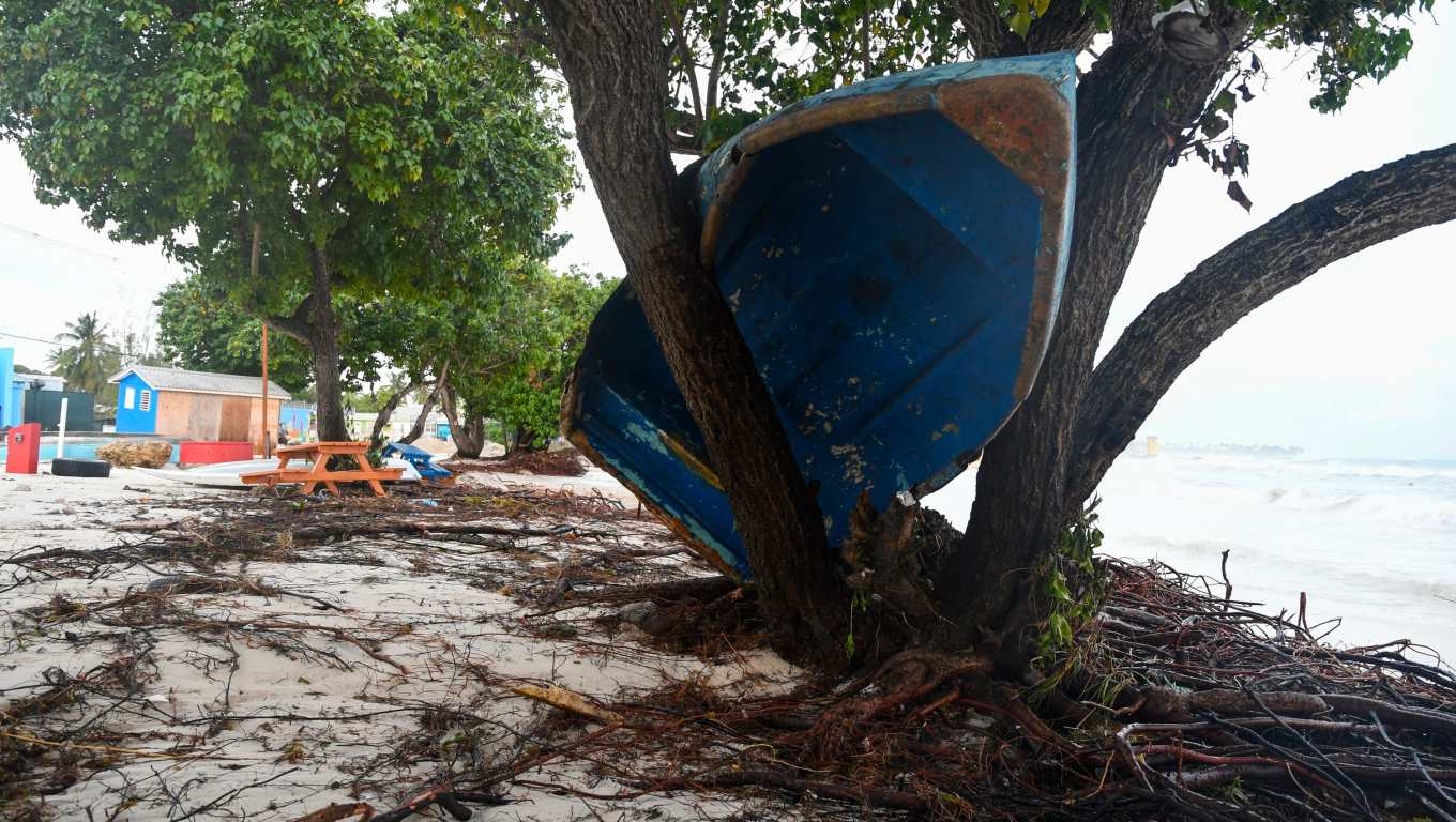 Un barco terminó en un árbol tras el paso del huracán Beryl en los jardines de Oistins, Christ Church, Barbados. (Foto Prensa Libre: Randy Brooks/AFP).