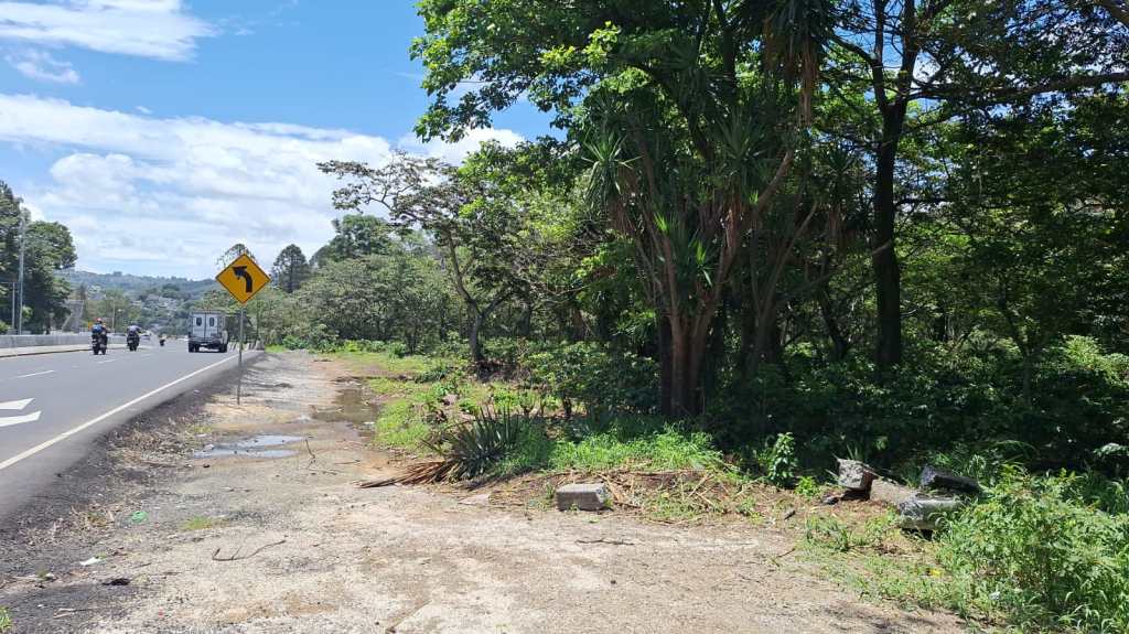 Localizan cabeza humana en la VAS