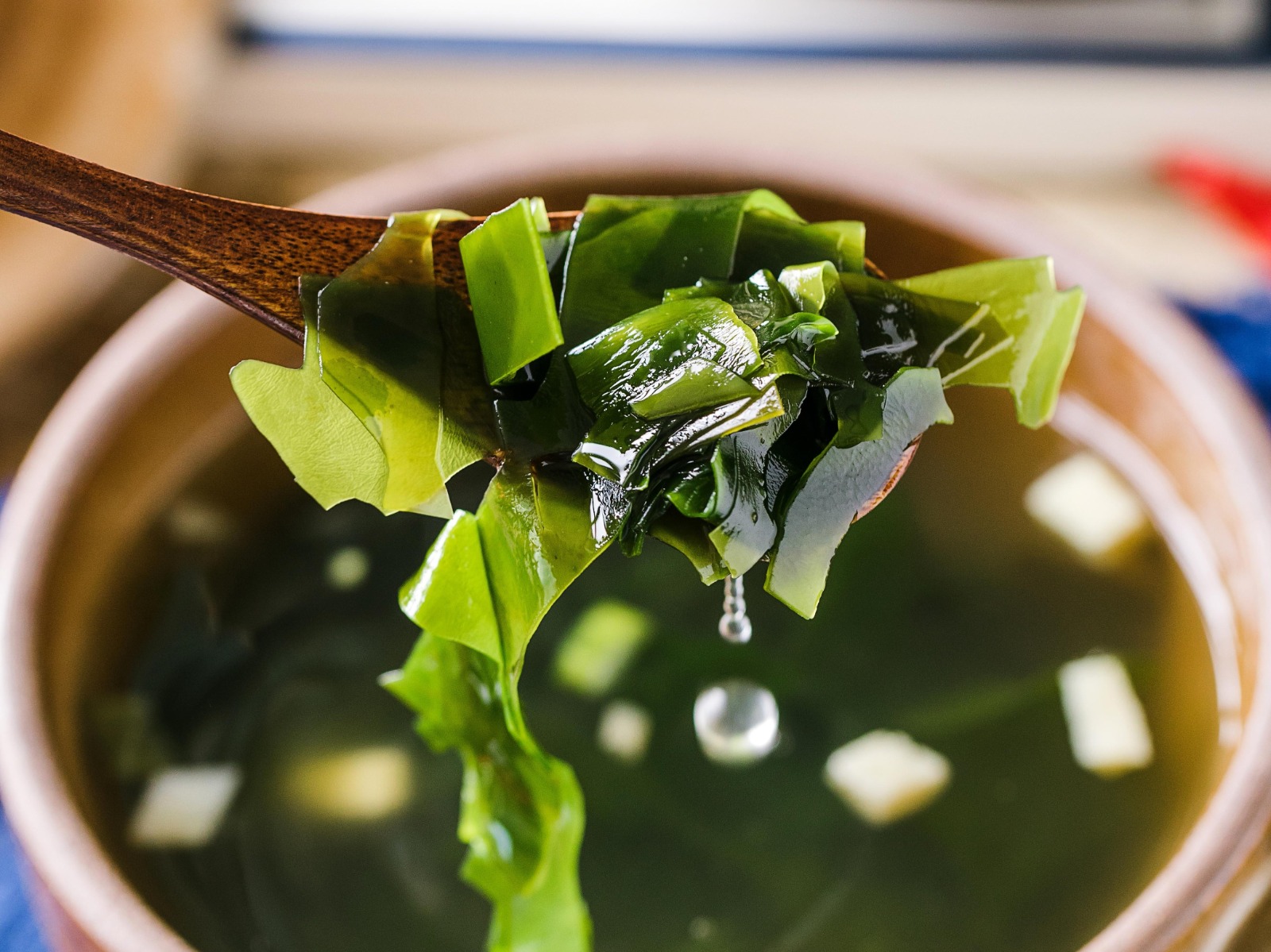 Una dieta basada en plantas bien equilibrada puede cumplir con las necesidades proteicas que requieren los humanos.  (Foto Prensa Libre: Shutterstock)