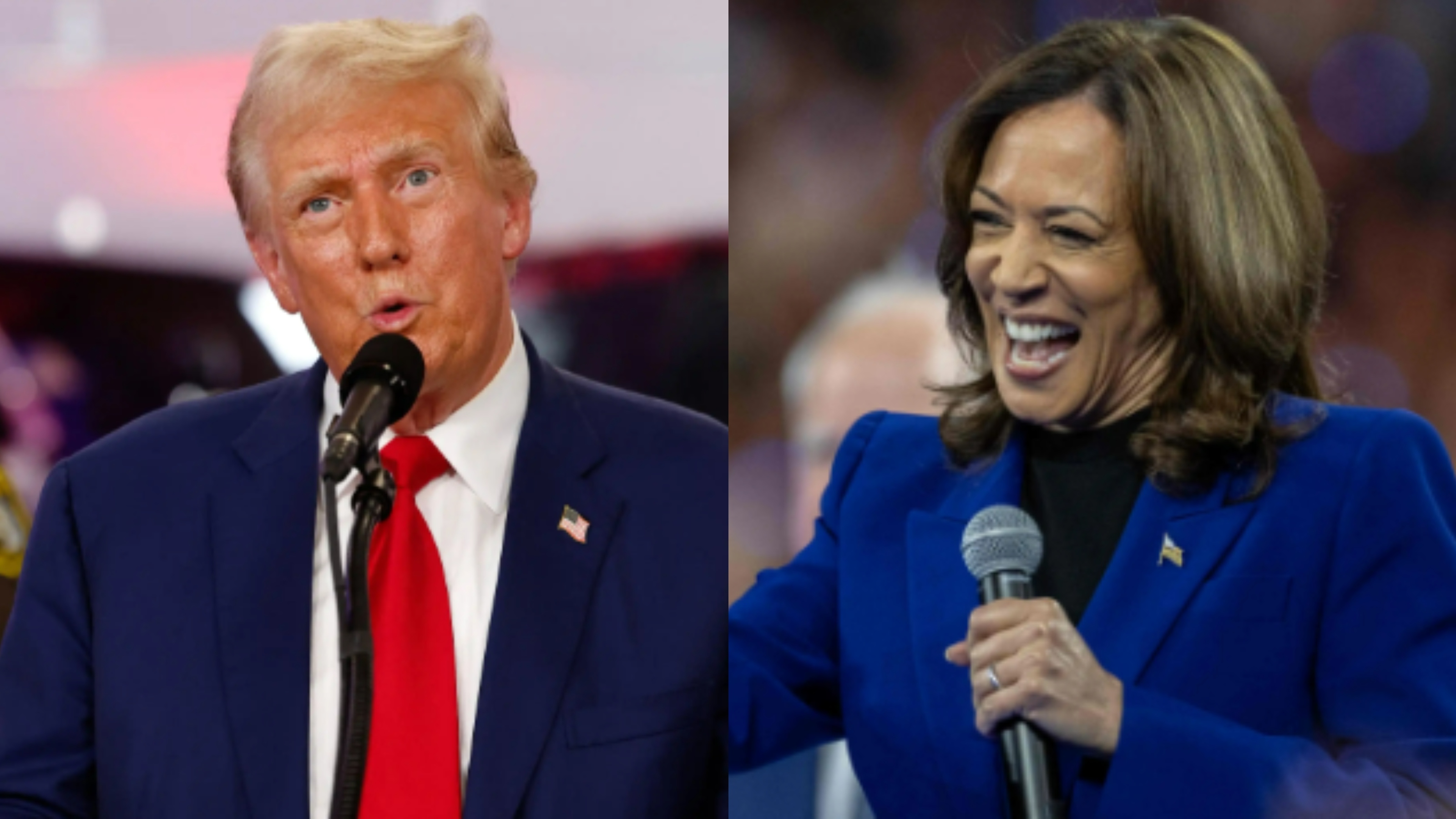 Donald Trump y Kamala Harris se enfrentarán en las elecciones en Estados Unidos