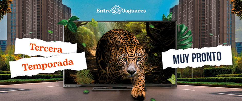 Entre Jaguares es un programa que busca descubrir nuevos talentos y fortalecer el ecosistema emprendedor del país. (Foto, Prensa Libre: Entre Jaguares).