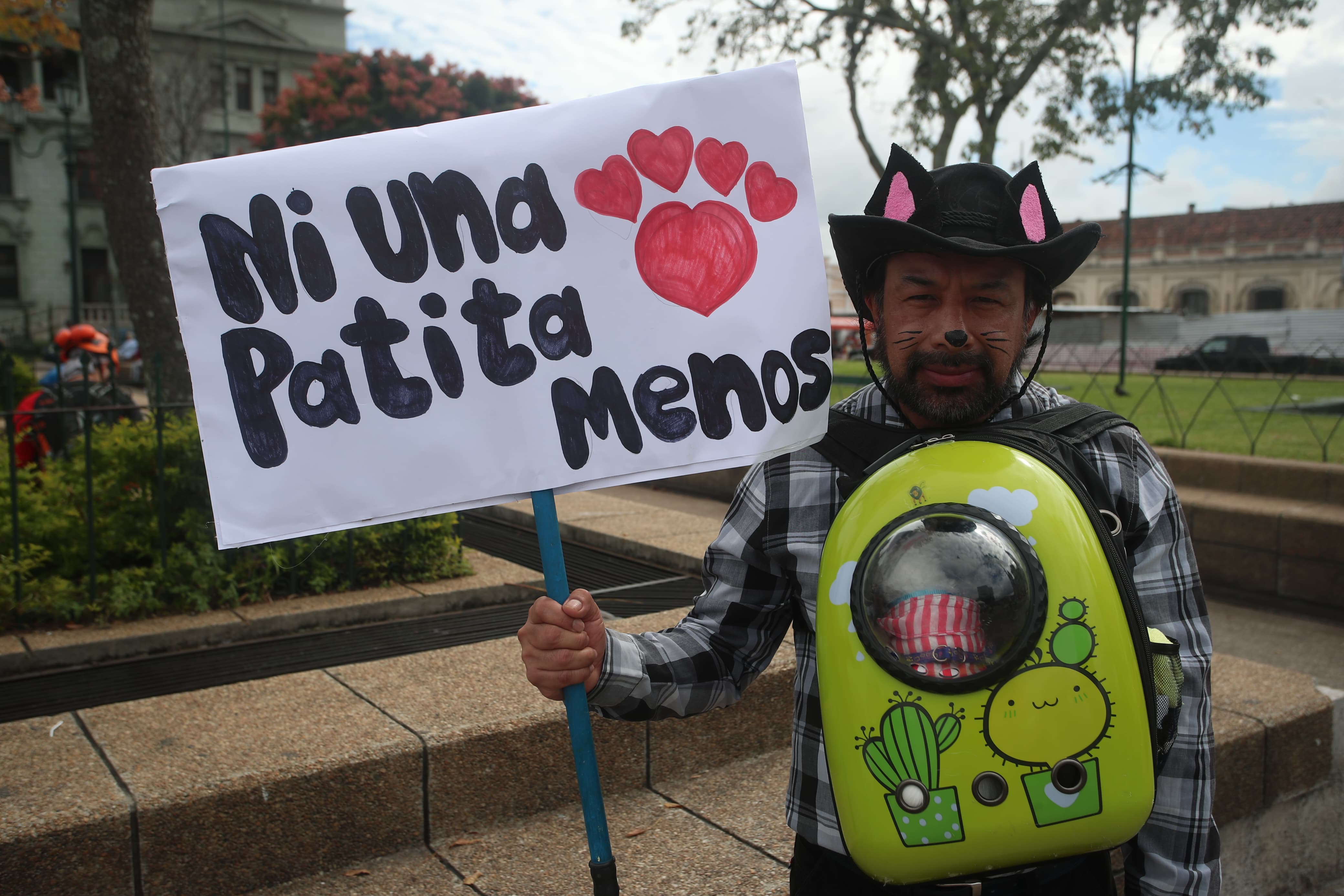 Marcha contra el maltrato animal organizado por la organización Patitas a la Obra, esta es la segunda marcha qué se realiza por el bienestar de los animalitos y así poder reunir fondos o comida para los animales que están abandonados por las calles de Guatemala

Prensa Libre: Emilio Chang, 25/08/2024