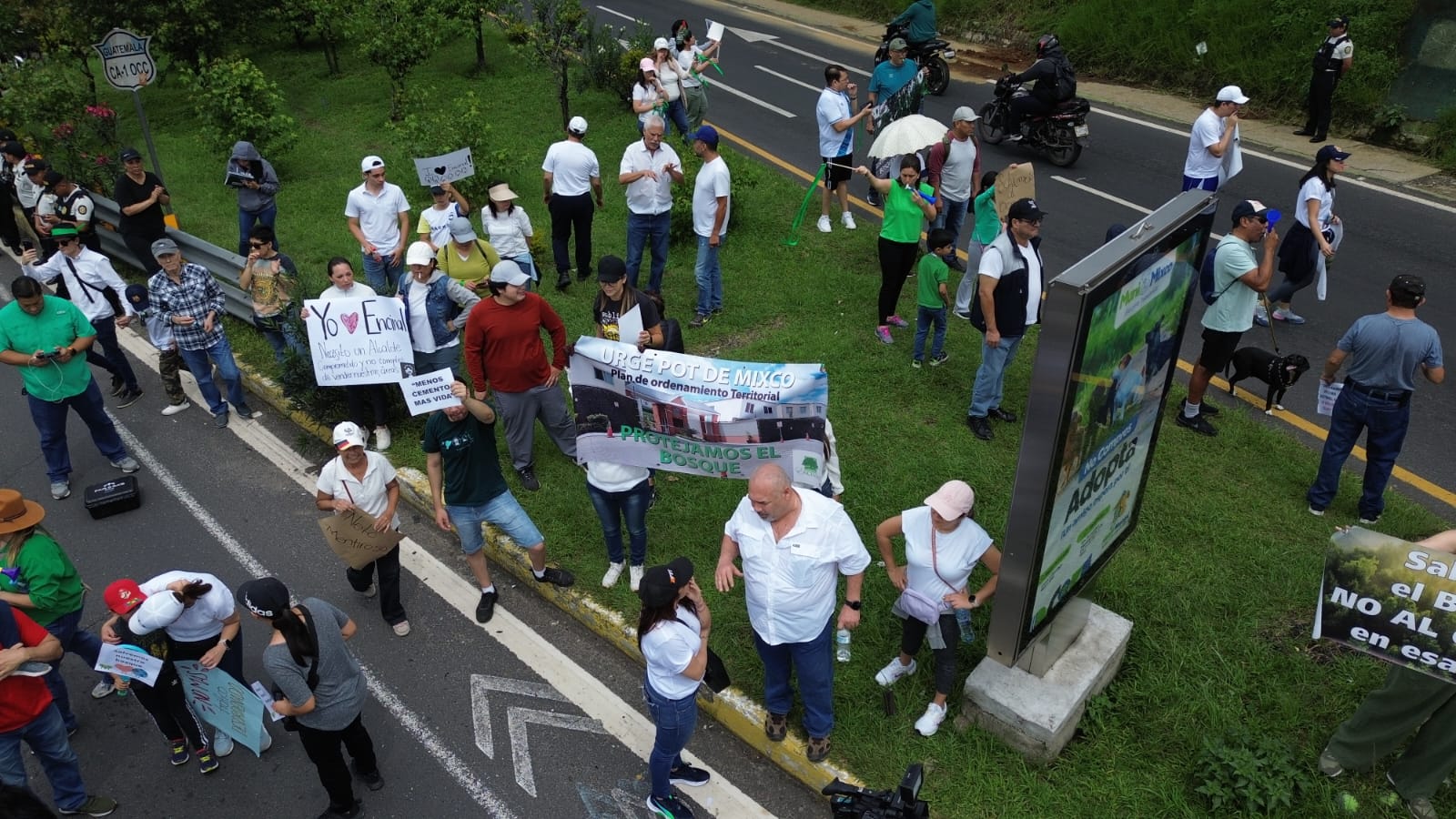 Manifestaciones en contra de la tala de árboles