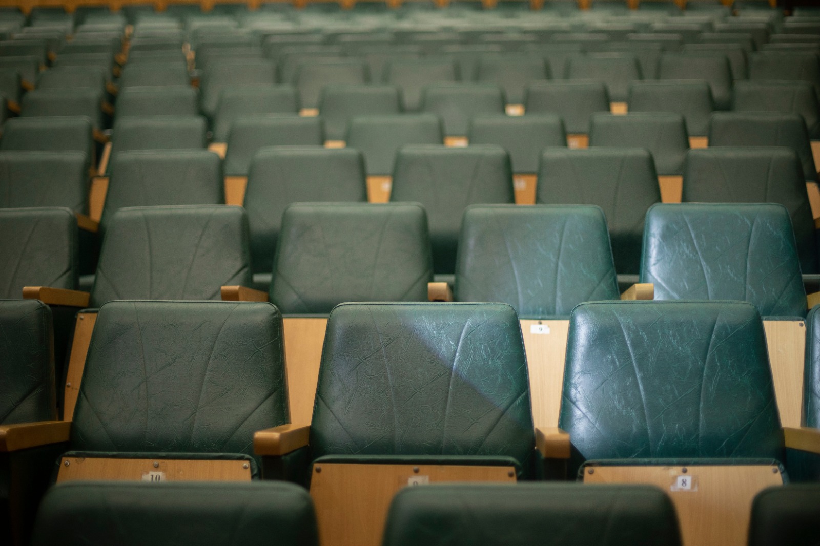 Las salas de cine alternativo se han vuelto cada vez más comunes en Guatemala durante los últimos años, después de la pandemia. (Foto Prensa Libre: Shutterstock)