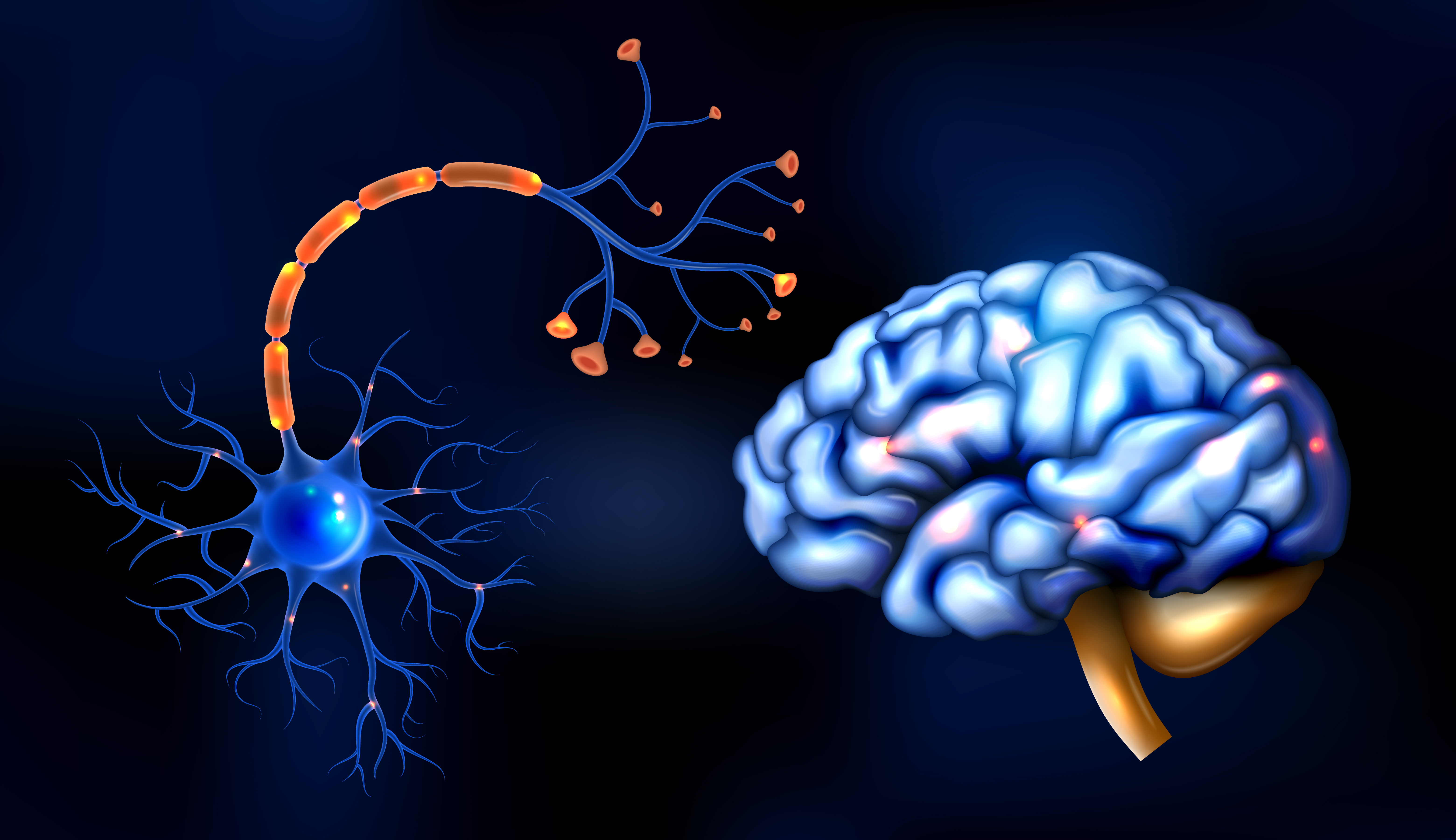 Realistic neuroscience concept with human brain and sensory nerve vector illustration