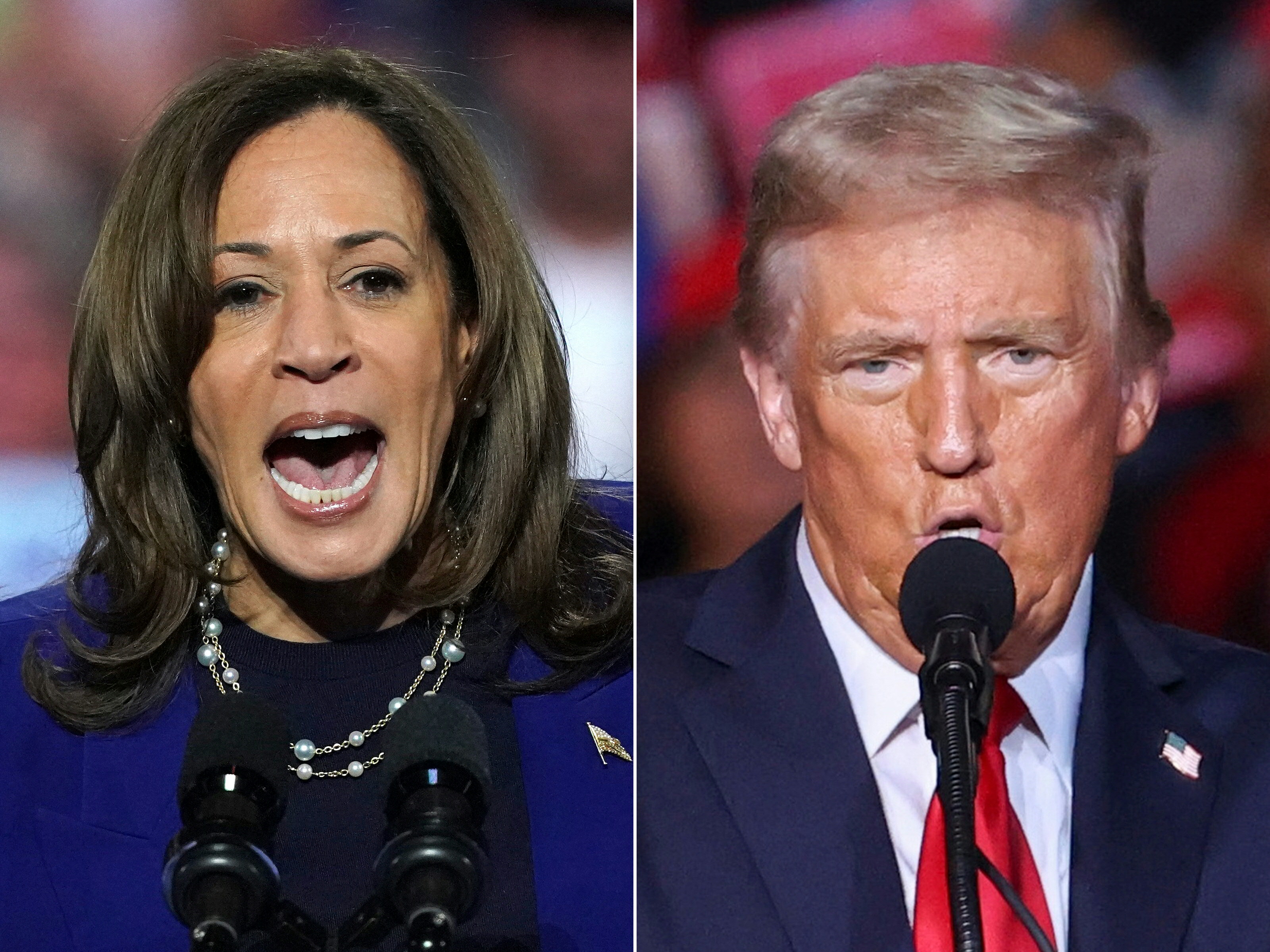 Kamala Harris y Donald Trump buscan el voto latino