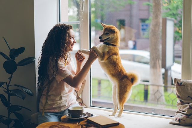 Muchos se preguntan cuántos años vive un perro, pero esto depende de su calidad de vida.