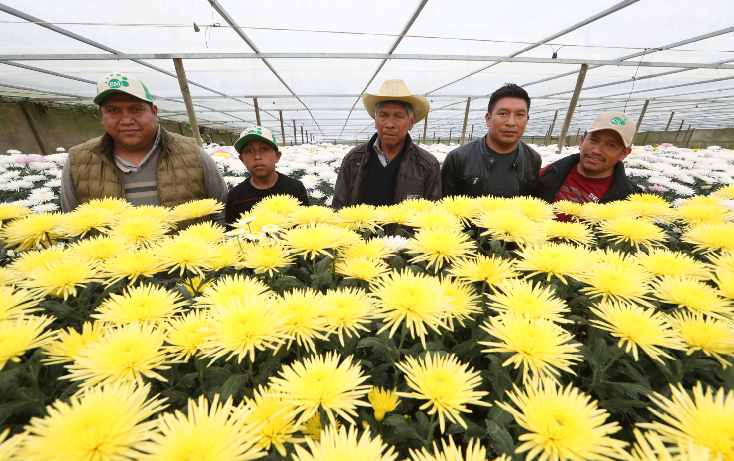 familia Tuquer, floricultores en Loma Alta, San Juan Sacatepéquez. (Foto Prensa Libre: Érick Ávila)