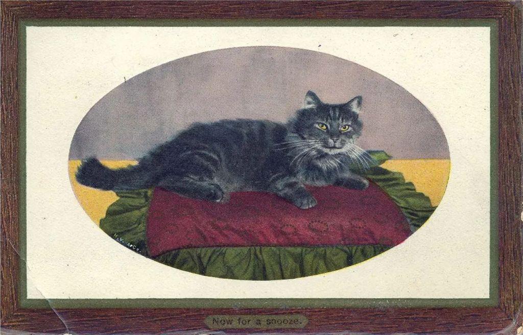 “Es una ley fundamental de la comunicación”: por qué cuando surge una nueva tecnología, la gente la llena con imágenes de gatos (Foto BBC: Edwardian Postcard Project)