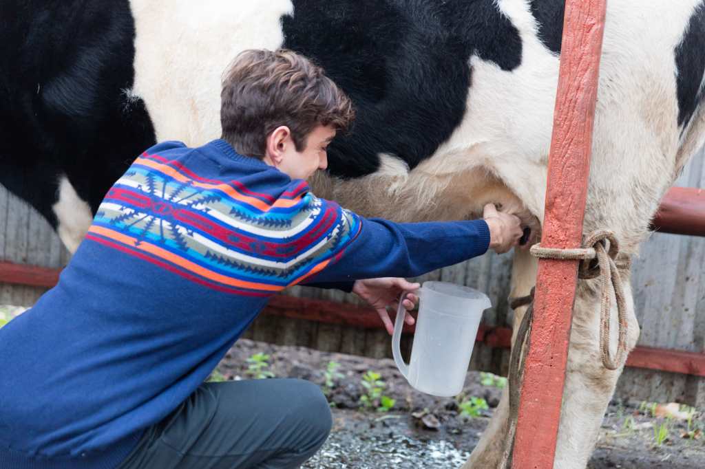 Es importante obedecer las recomendaciones de las autoridades locales para evitar la propagación del gusano barrenador. (Foto, Prensa Libre: Freepik)