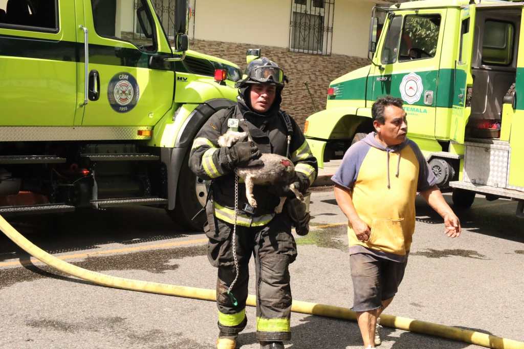 Incendio zona 6