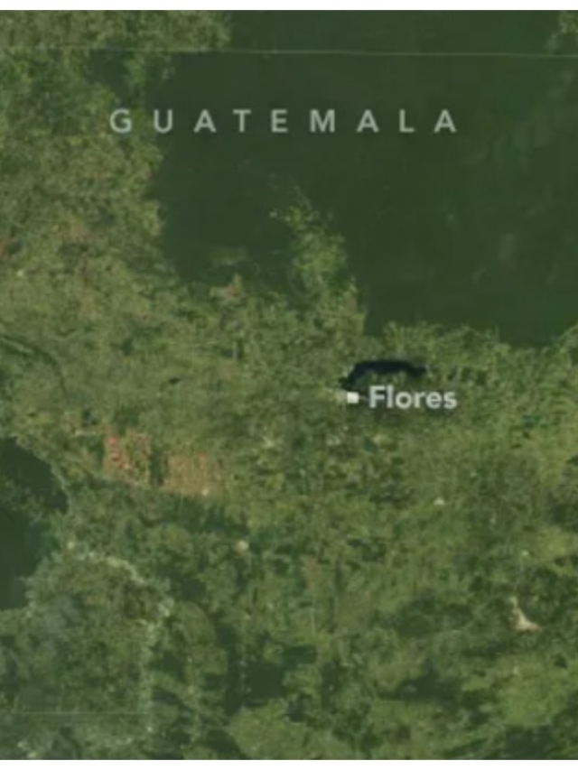 NASA: Se reduce la Selva Maya en Guatemala