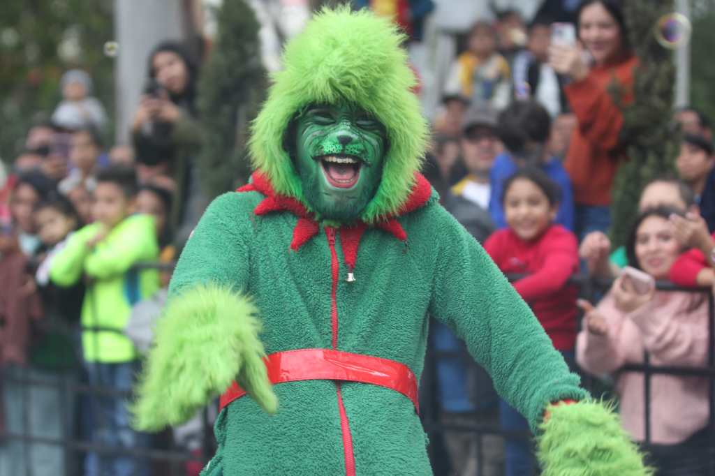 Persona disfrazada de Grinch