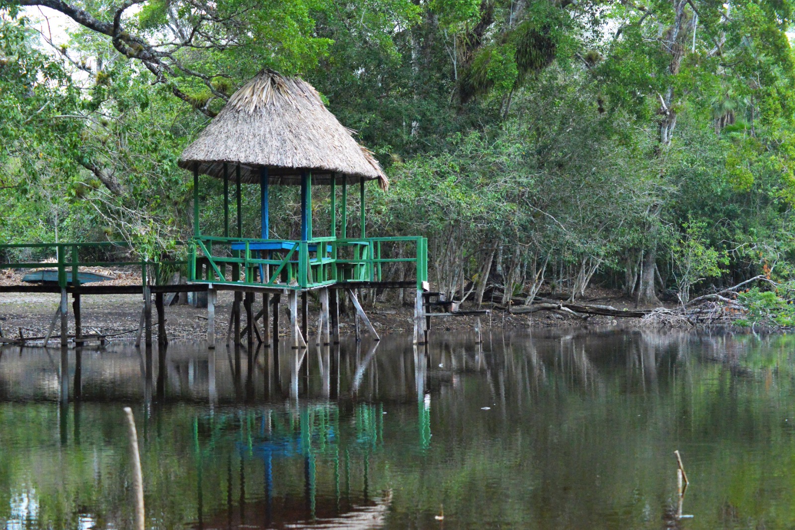 alrededores de Chochkitan en Petén