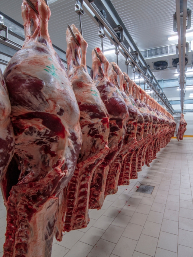 Lo más visto: Salud sigue con evaluación de carne con clembuterol