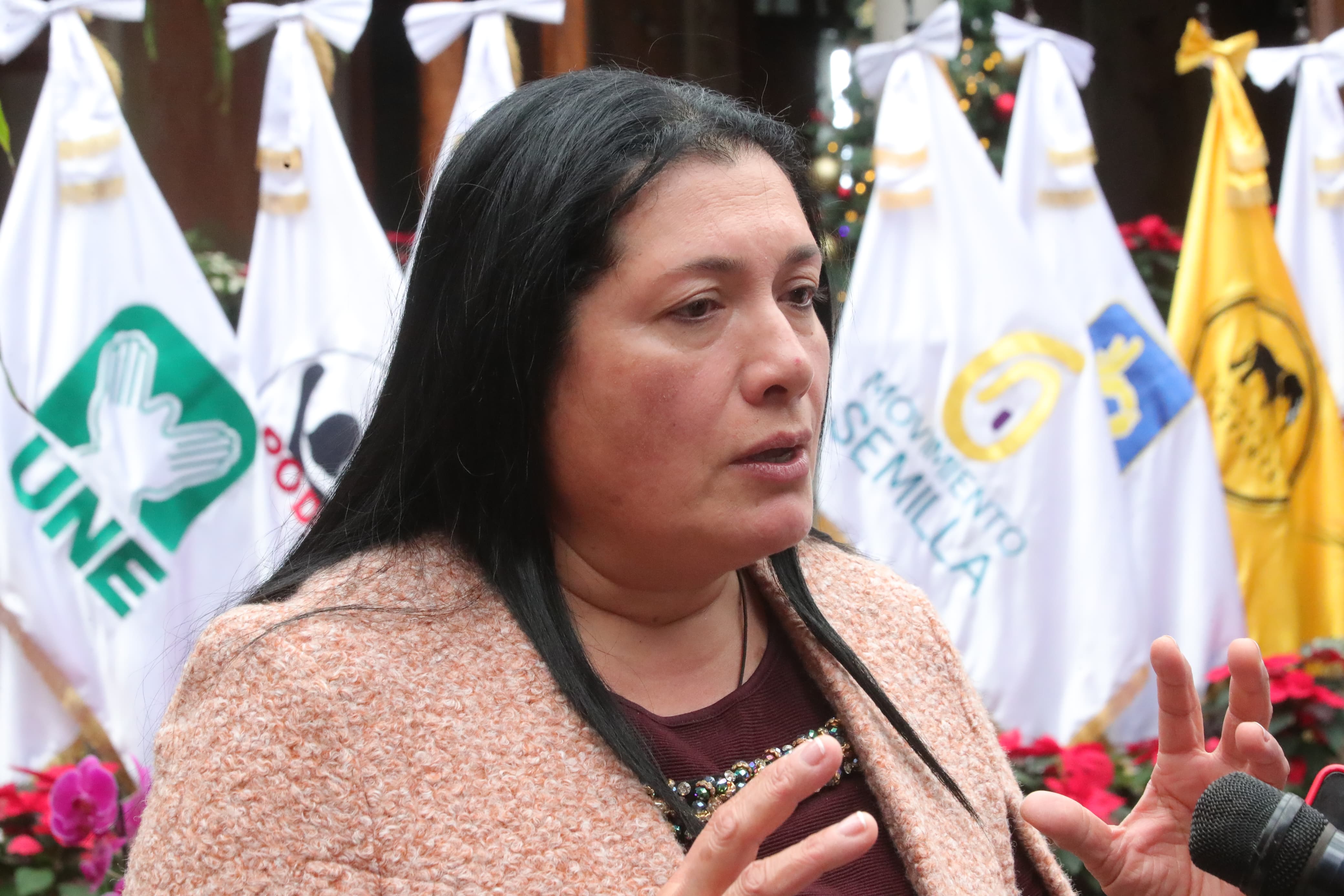 Blanca Alfaro, presidenta del TSE. (Foto Prensa Libre: Byron Baiza)