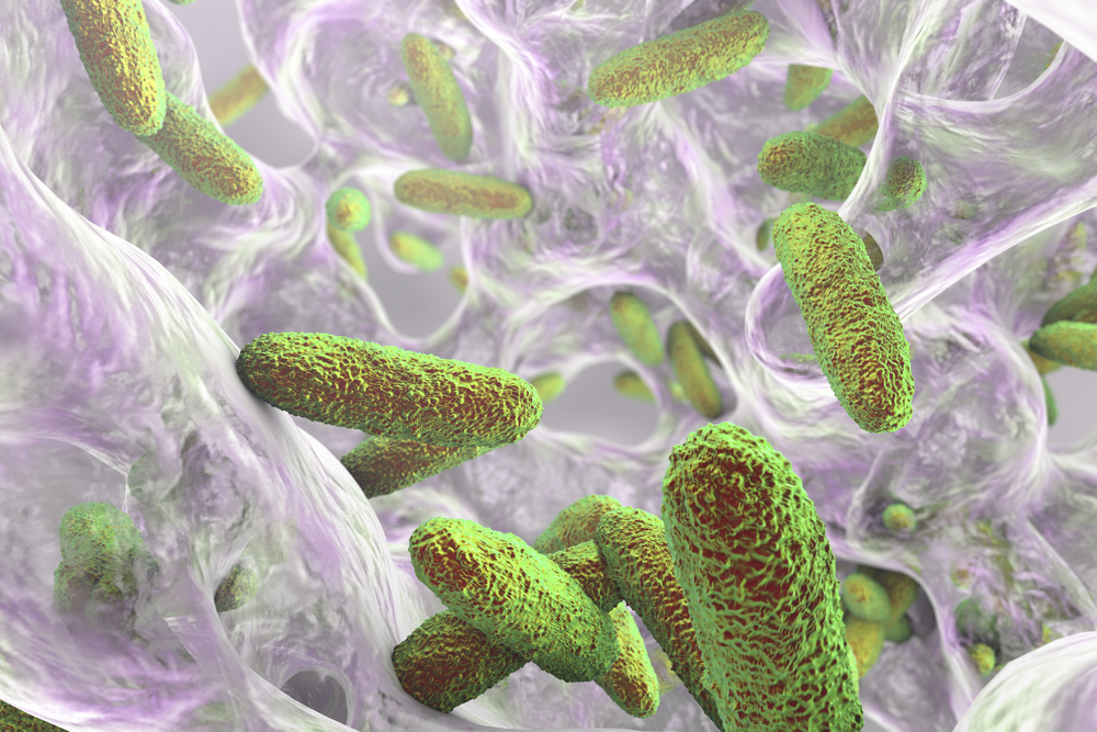 Biofilm containing bacteria Klebsiella, 3D illustration. Gram-negative rod-shaped bacteria which are often nosocomial antibiotic resistant