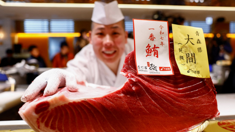 Atún rojo: cómo se salvó de la extinción el famoso pez usado en el sushi y el sashimi y por qué vuelve a estar en peligro